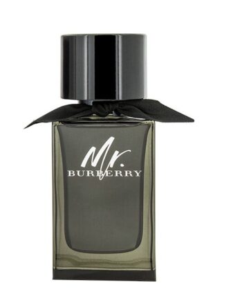 Burberry Burberry Eau Parfum 100