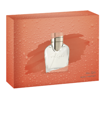 Van Gils Basic Instinct Eau Toilette  Deodorant Stick Gaveæske