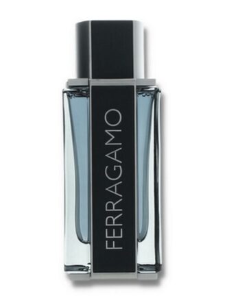 Salvatore Ferragamo Intense Leather 100 Edp