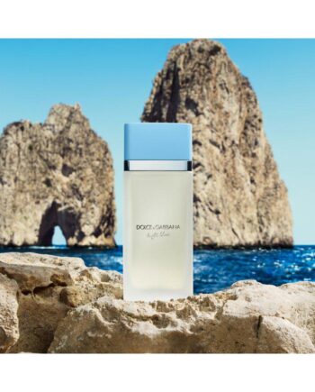 Dolce   Gabbana Light Blue Eau Toilette