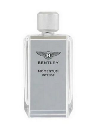 Bentley Momentum Intense Eau Parfum 100