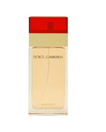 Dolce   Gabbana Femme 100 Edt