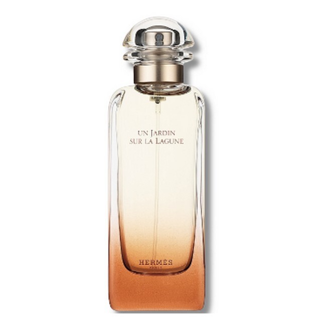 Hermes Jardin Sur Lagune 100 Edt