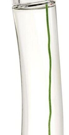 Kenzo Flower Eau Parfum Edp