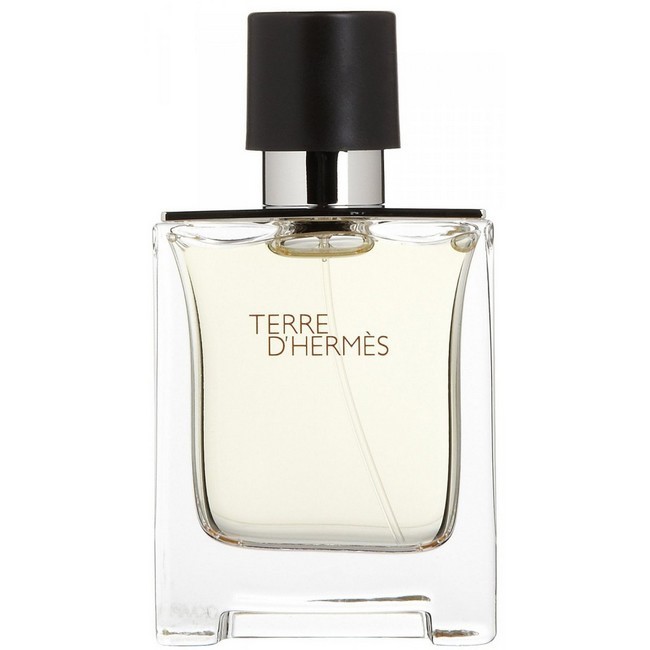 Hermes Terre Hermes Eau Toilette 100